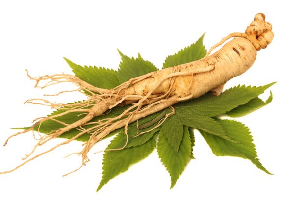 ginseng ABSlim-tipoissa