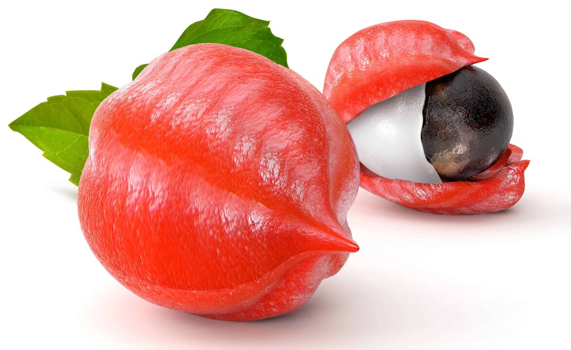 guarana ABSlim-pisaroissa